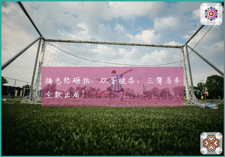 梅总怒砸拍，双蛋被吞，三驾马车全数出局！